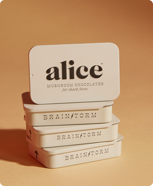 Alice Mushrooms Brainstorm Mushroom Chocolate for Focus