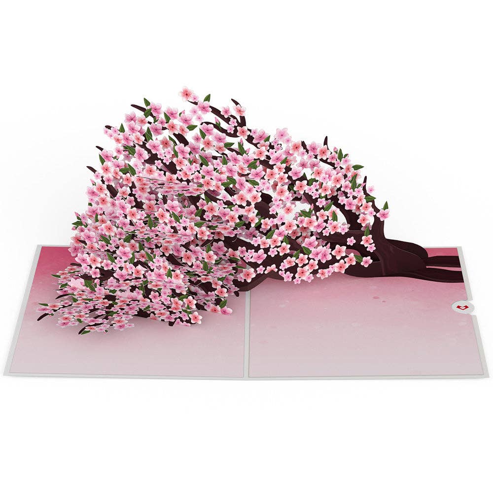Lovepop Cherry Blossom Branches in Bloom Pop-Up Card