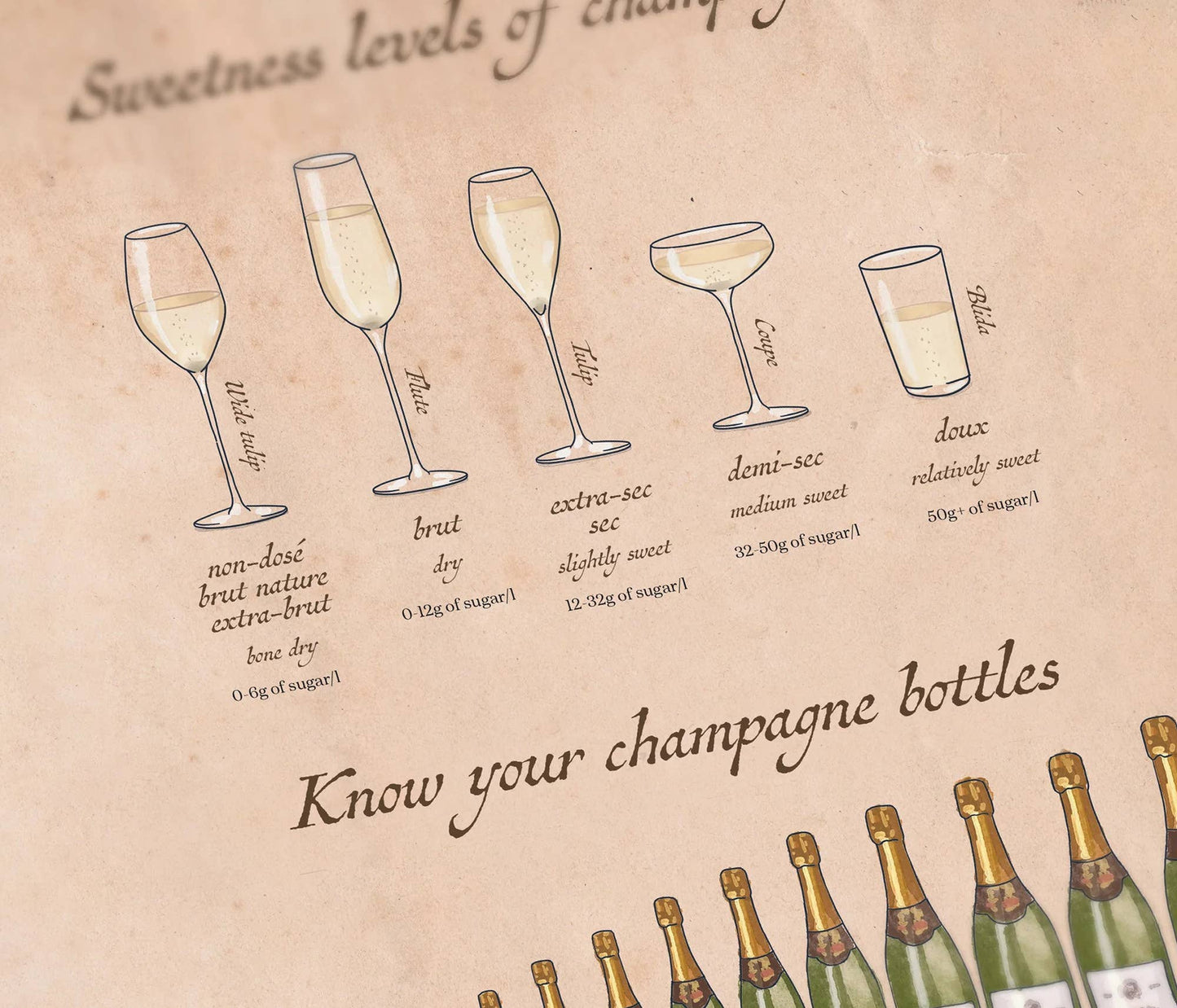 Water & Wines - Wine Puzzle - Champagne