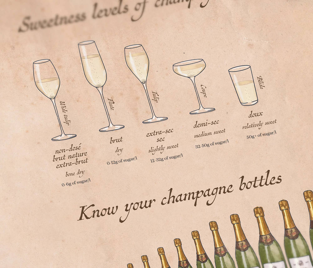 Water & Wines - Wine Puzzle - Champagne