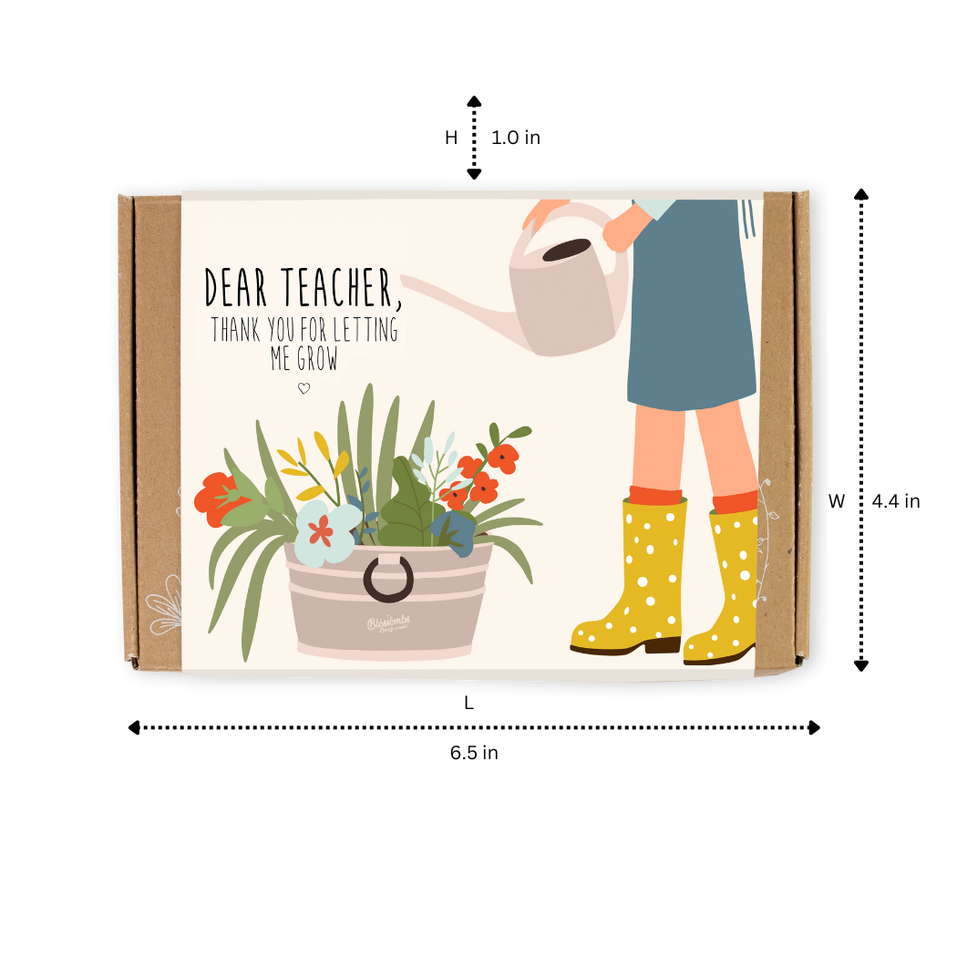Blossombs Small Box - Dear Teacher, 7 Seed Bomb Balls