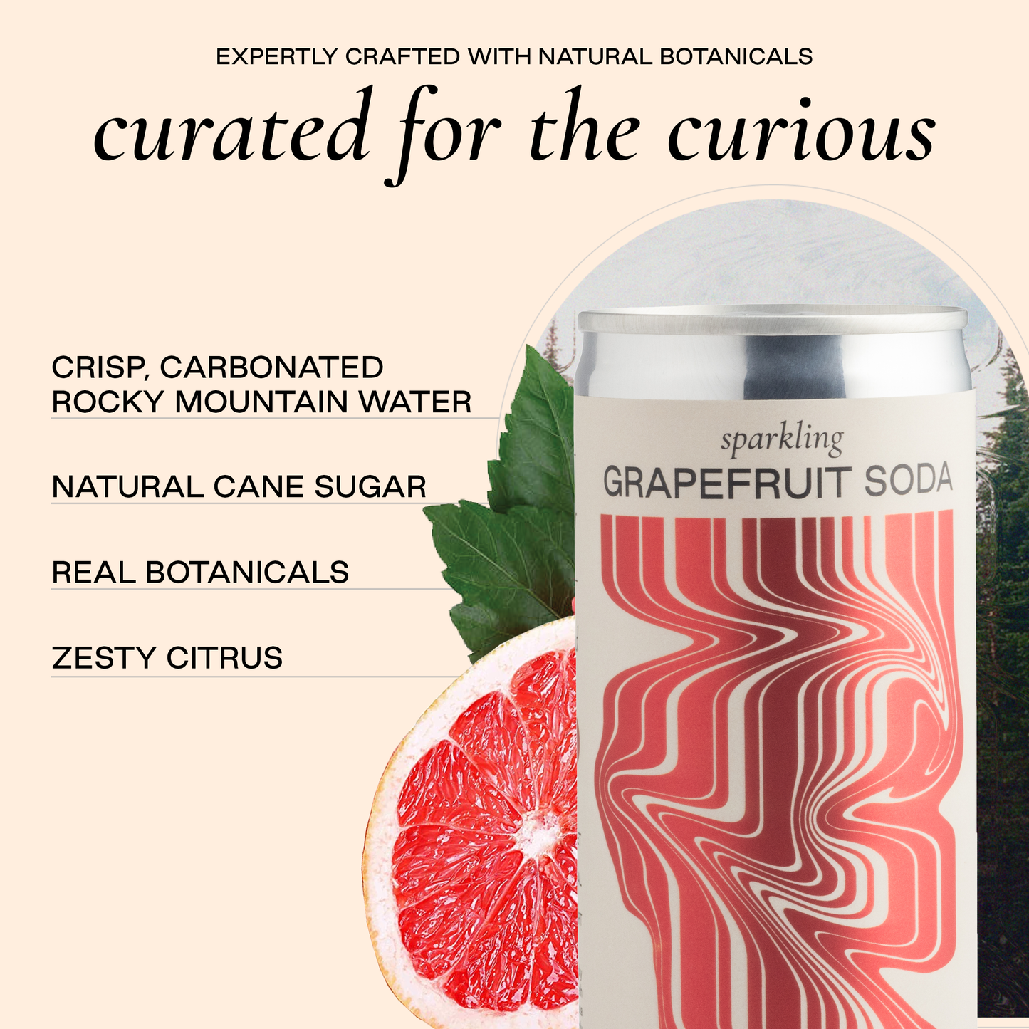 Strongwater Grapefruit Soda, 4 Pack
