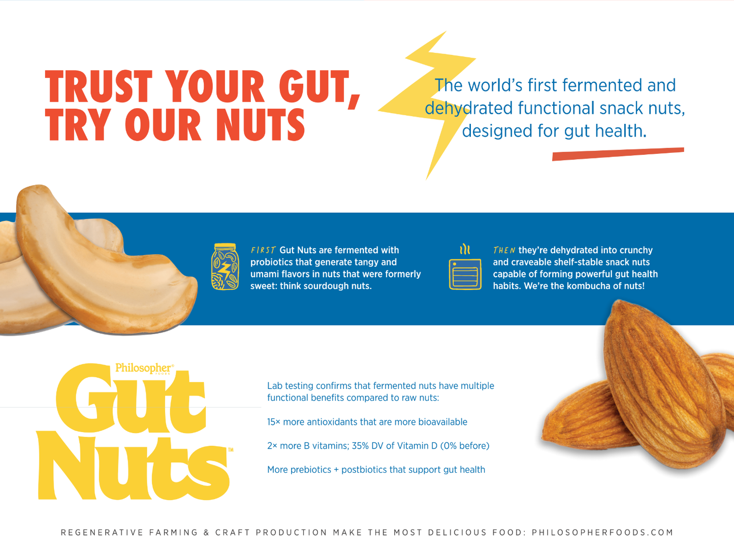 Gut Nuts Fermented Cashews