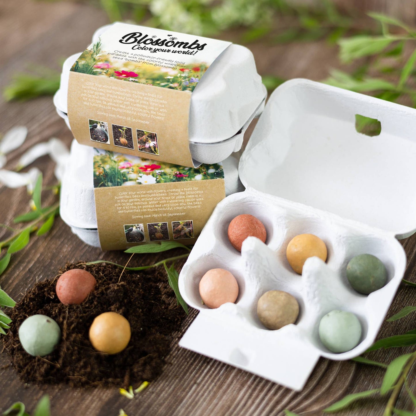 Blossombs Egg Box- Hello Spring, 8 Seed Bomb Balls