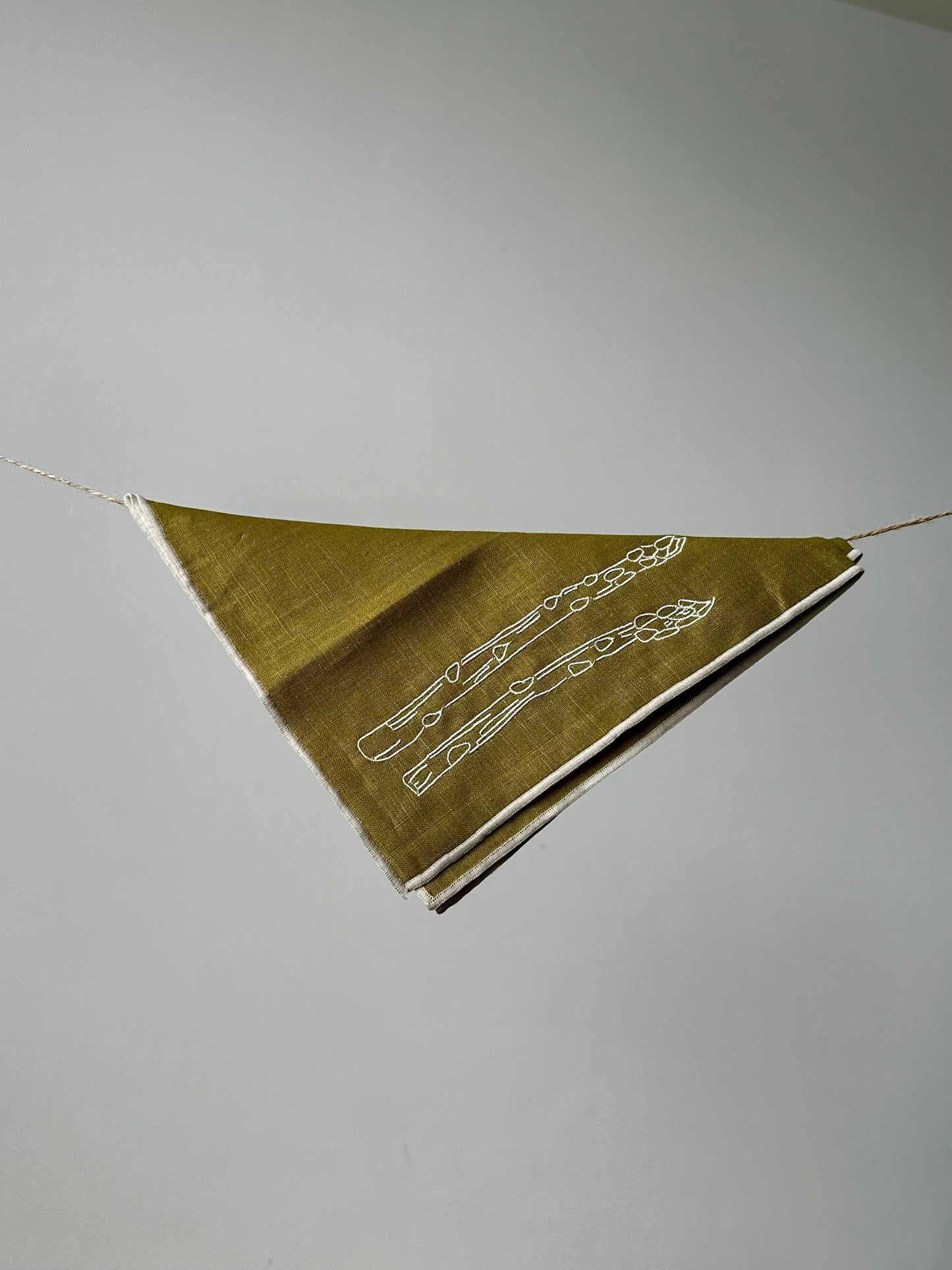 MÆGEN Linen Blend Asparagus Napkins, Set of 2