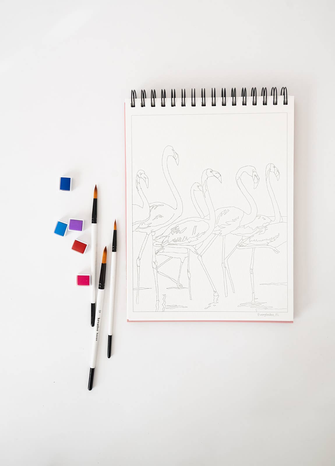 Bailey Rae Studio National Parks Watercoloring Book