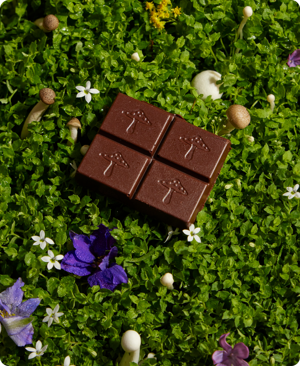 Alice Mushrooms Nightcap Mushroom Chocolates for Deep Sleep