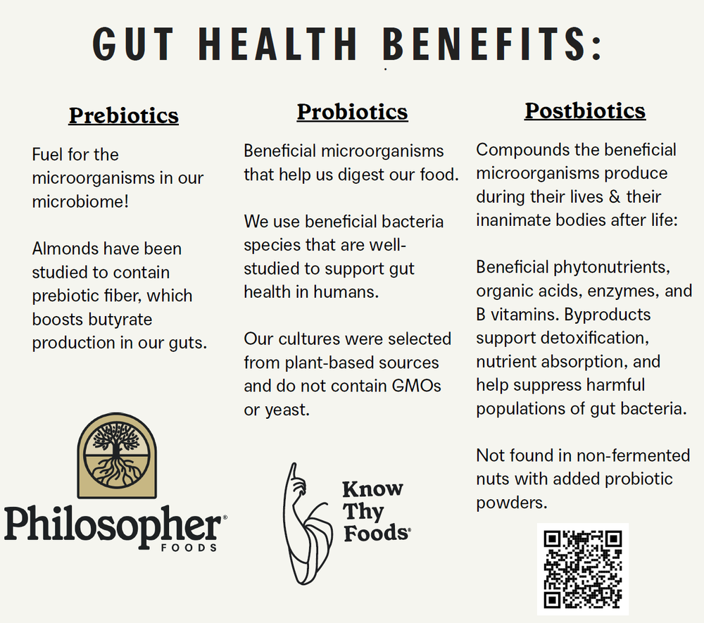Gut Nuts Fermented Cashews