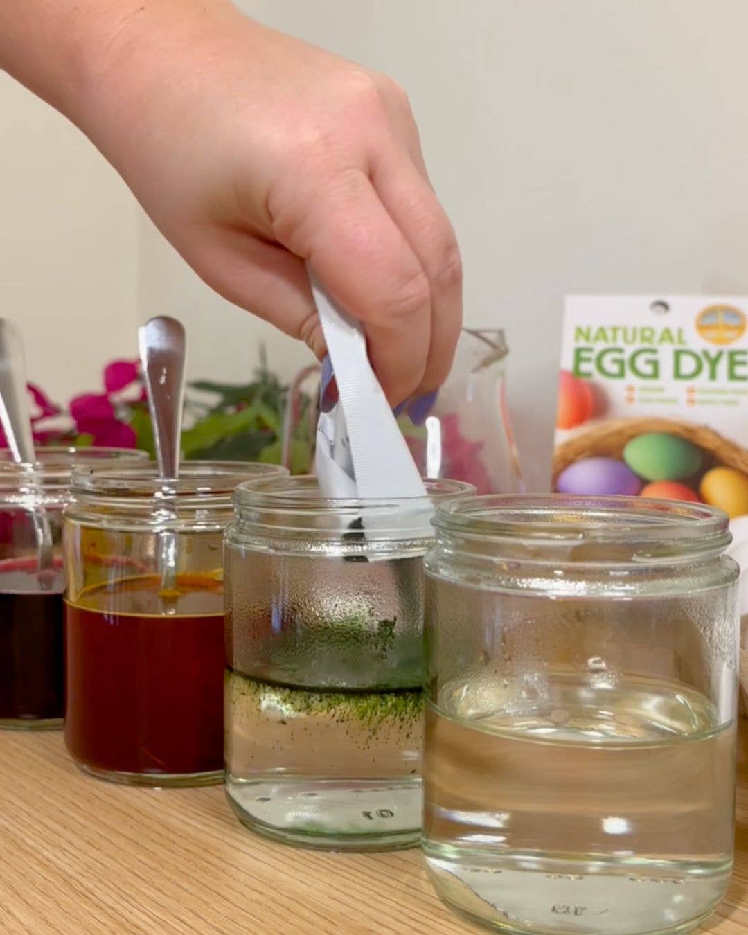 Natural Earth Paint Natural Egg Dye Kit