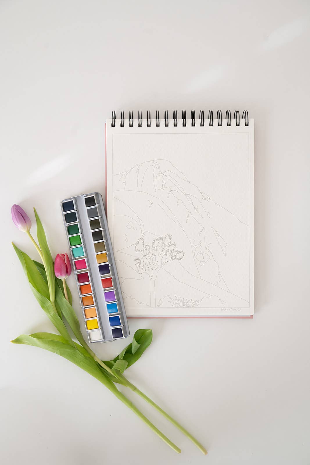 Bailey Rae Studio National Parks Watercoloring Book