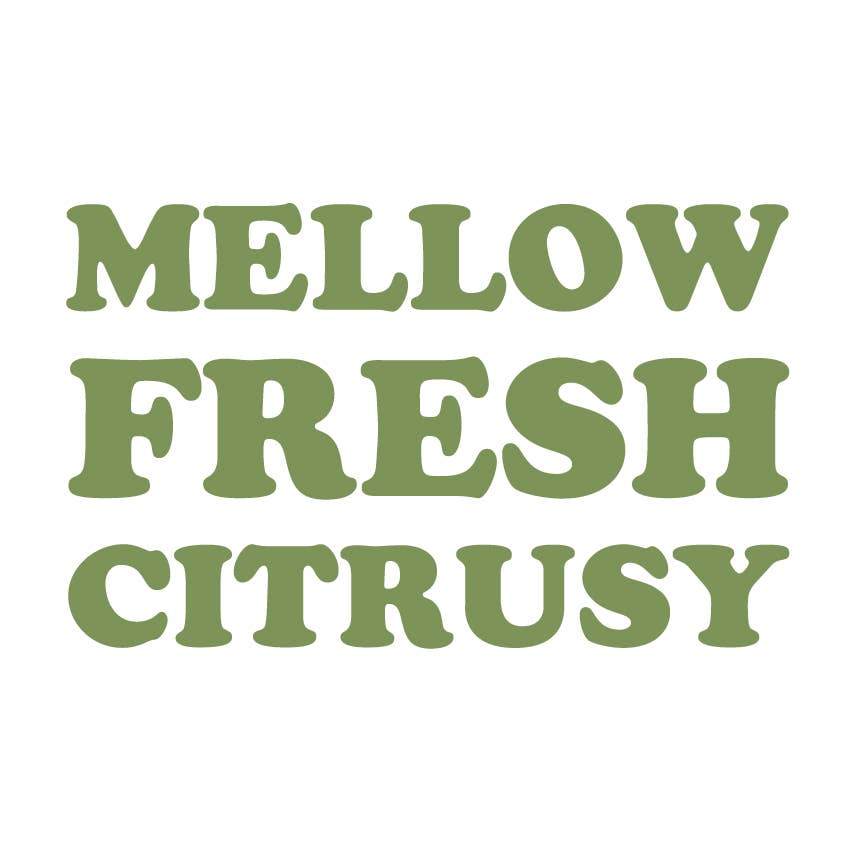 Queen Majesty Jalapeño Tequila & Lime Hot Sauce, 5oz