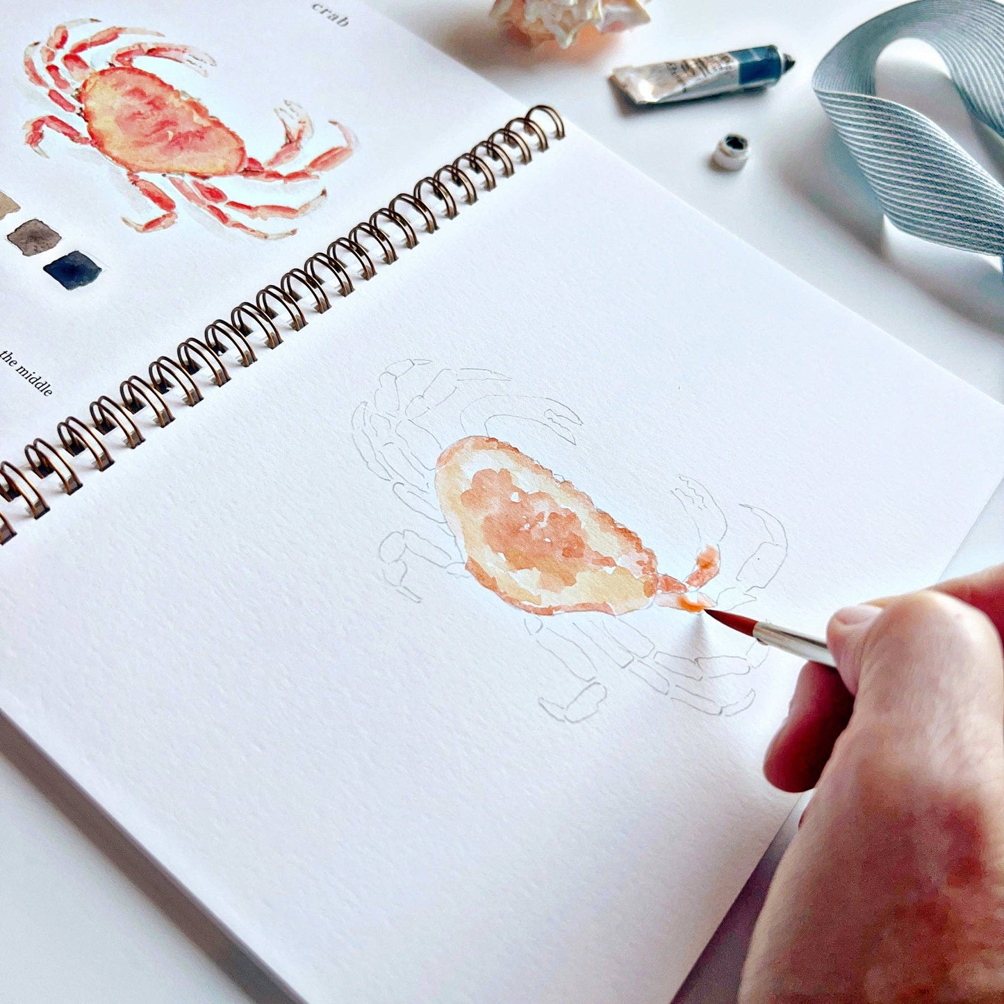 emily lex studio Seaside Watercolor Workbook