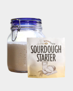 Breadtopia Sourdough Starter