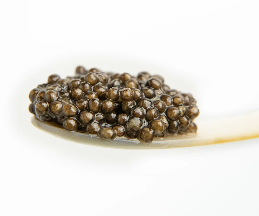 Island Creek Panchenko Osetra Caviar, Tbilsi Georgia, 30g