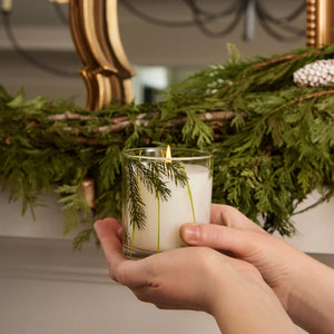 Thymes Frasier Fir Pine Needle Candle, 6.5oz