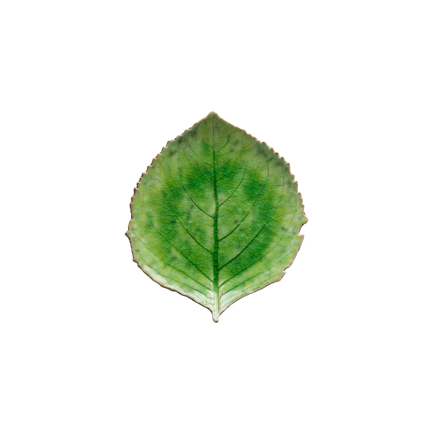 Casafina Hydrangea Leaf Riviera, Tomate Green