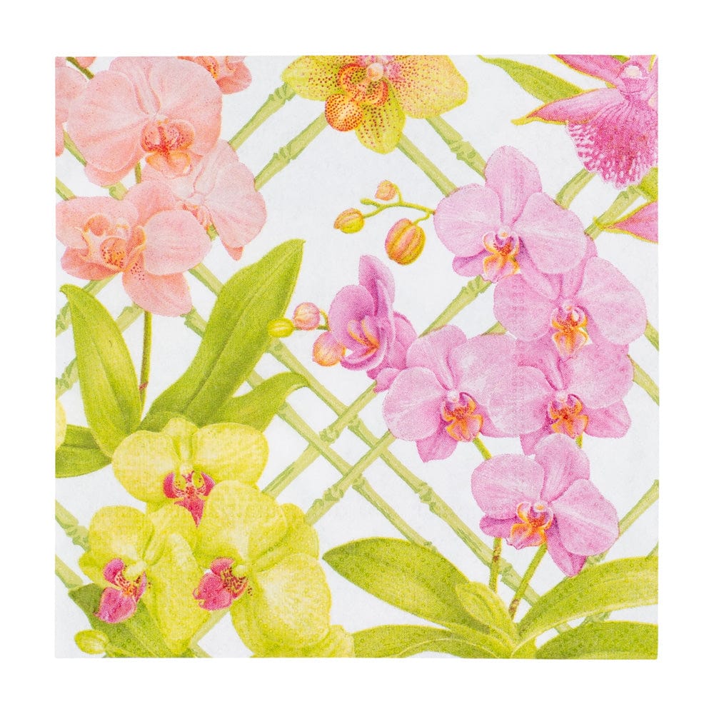 Caspari Orchid Conservatory Cocktail Napkins, Set of 20