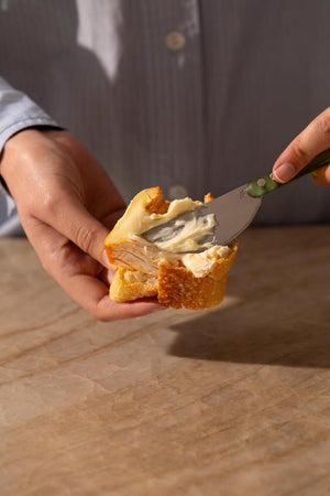 Holcomb Wedge Cheese Knives, Sage