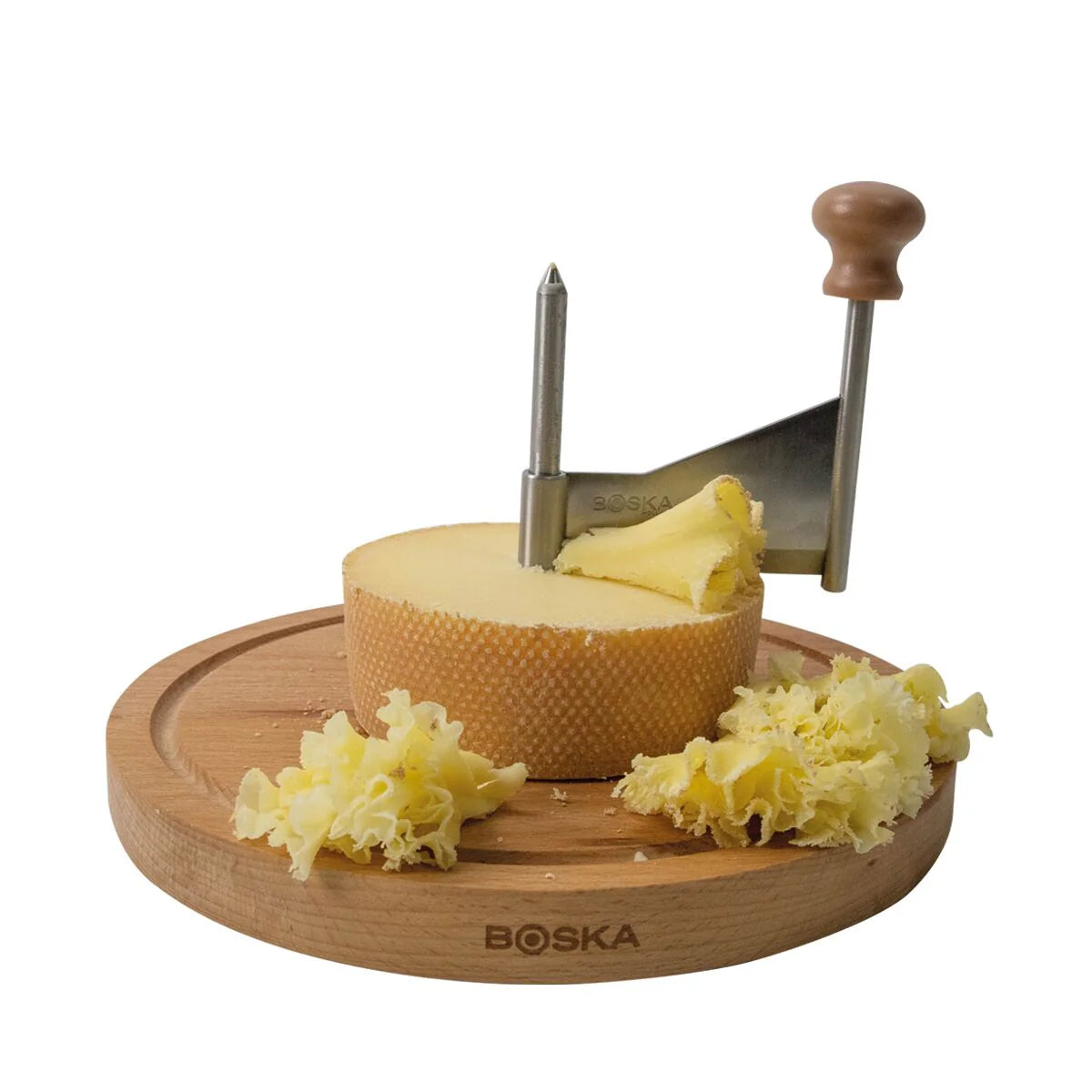 Cheese Cutter Amigo with Dome