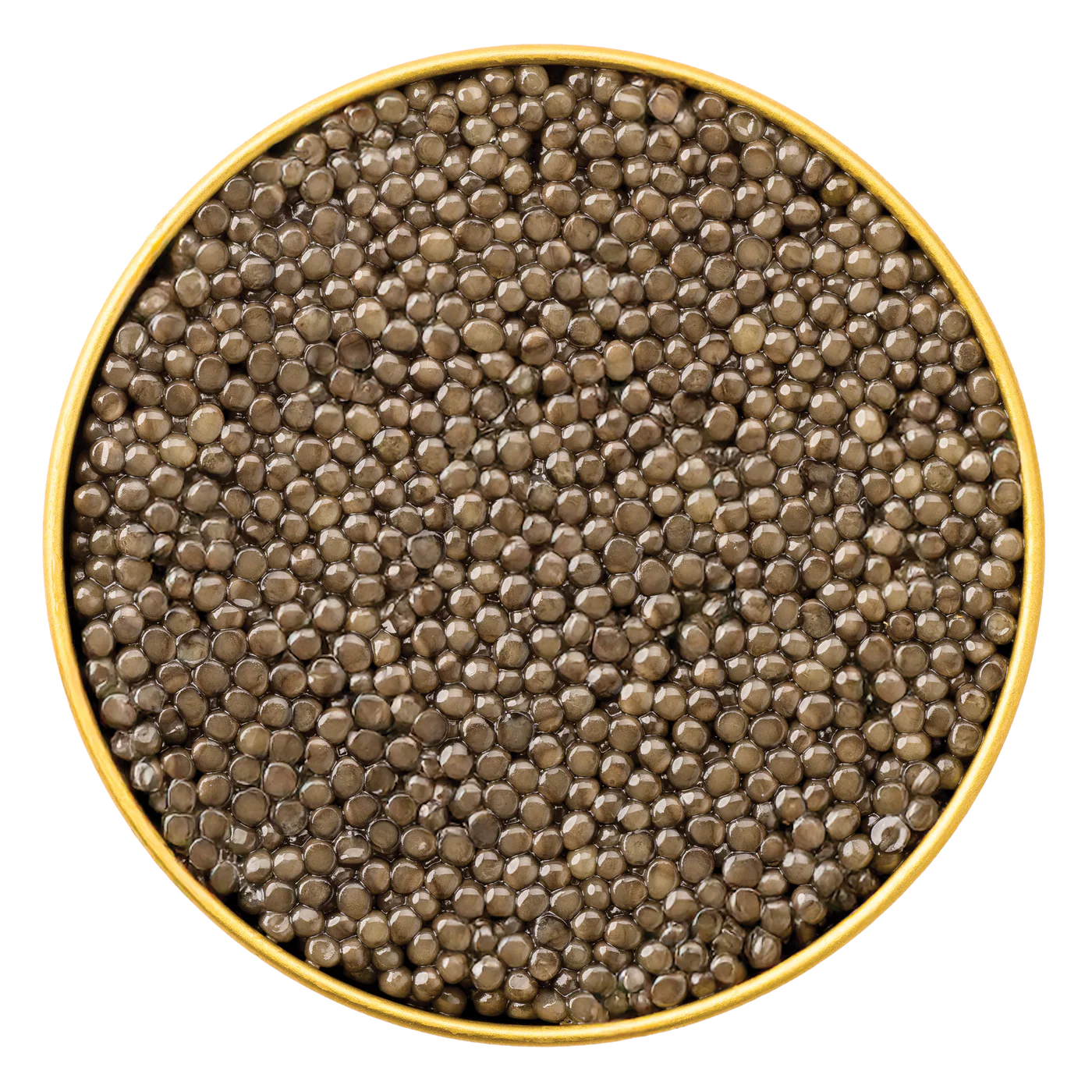 Browne Trading Royal Belgian Osetra