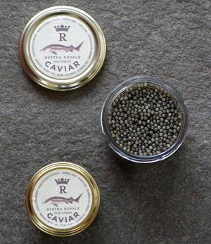 Regalis Osetra Royale, 1 oz