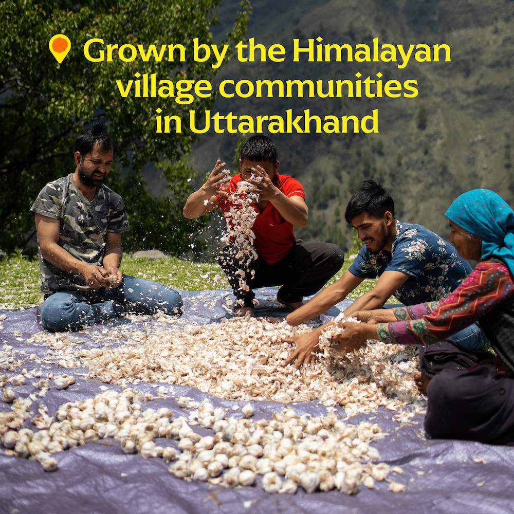 Diaspora Spice Co. - Pahadi Pink Garlic (Powder) -  Single-Origin Spice