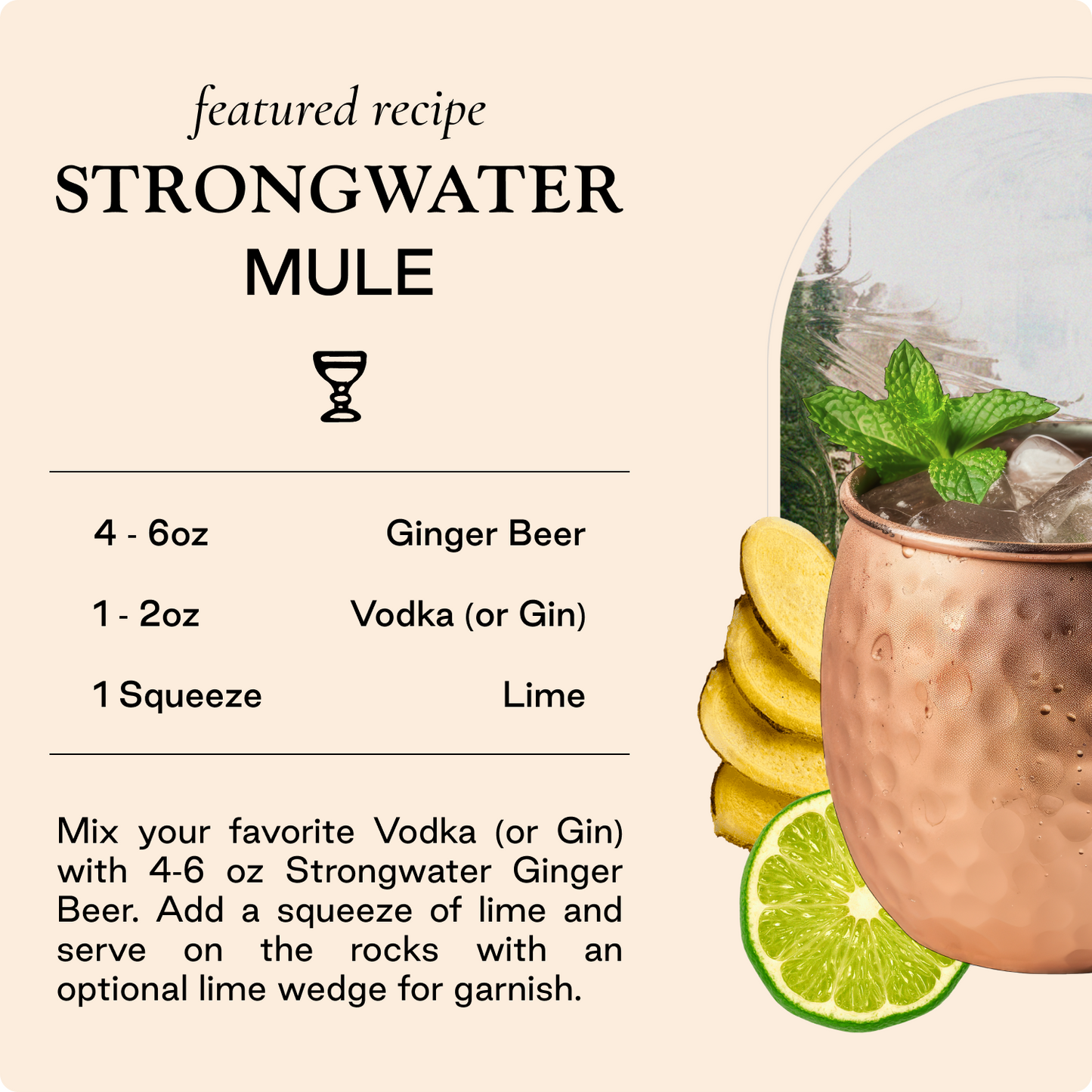 Strongwater Ginger Beer, 4 Pack