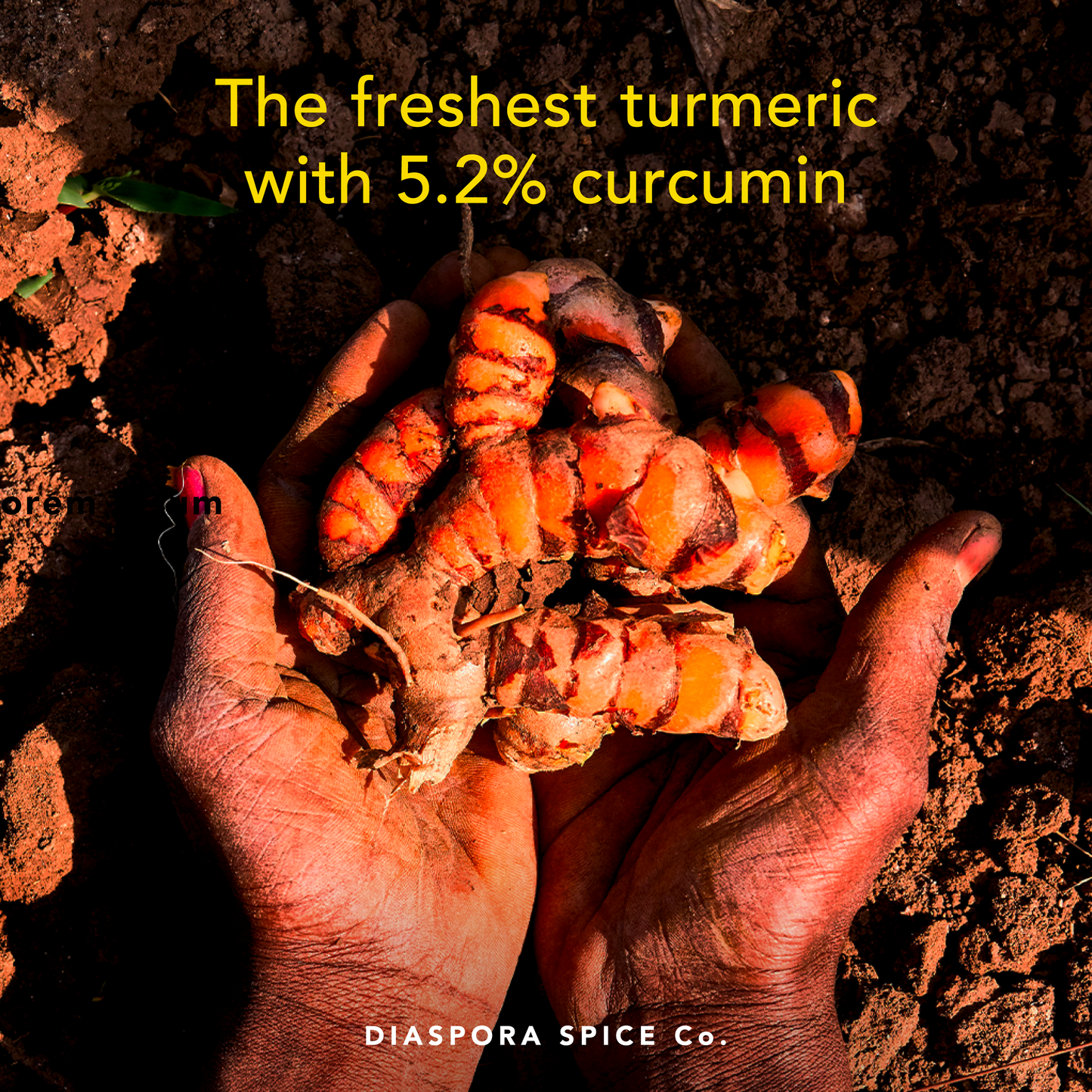 Diaspora Spice Co. - Pragati Turmeric (Powder) - Single-Origin Spice
