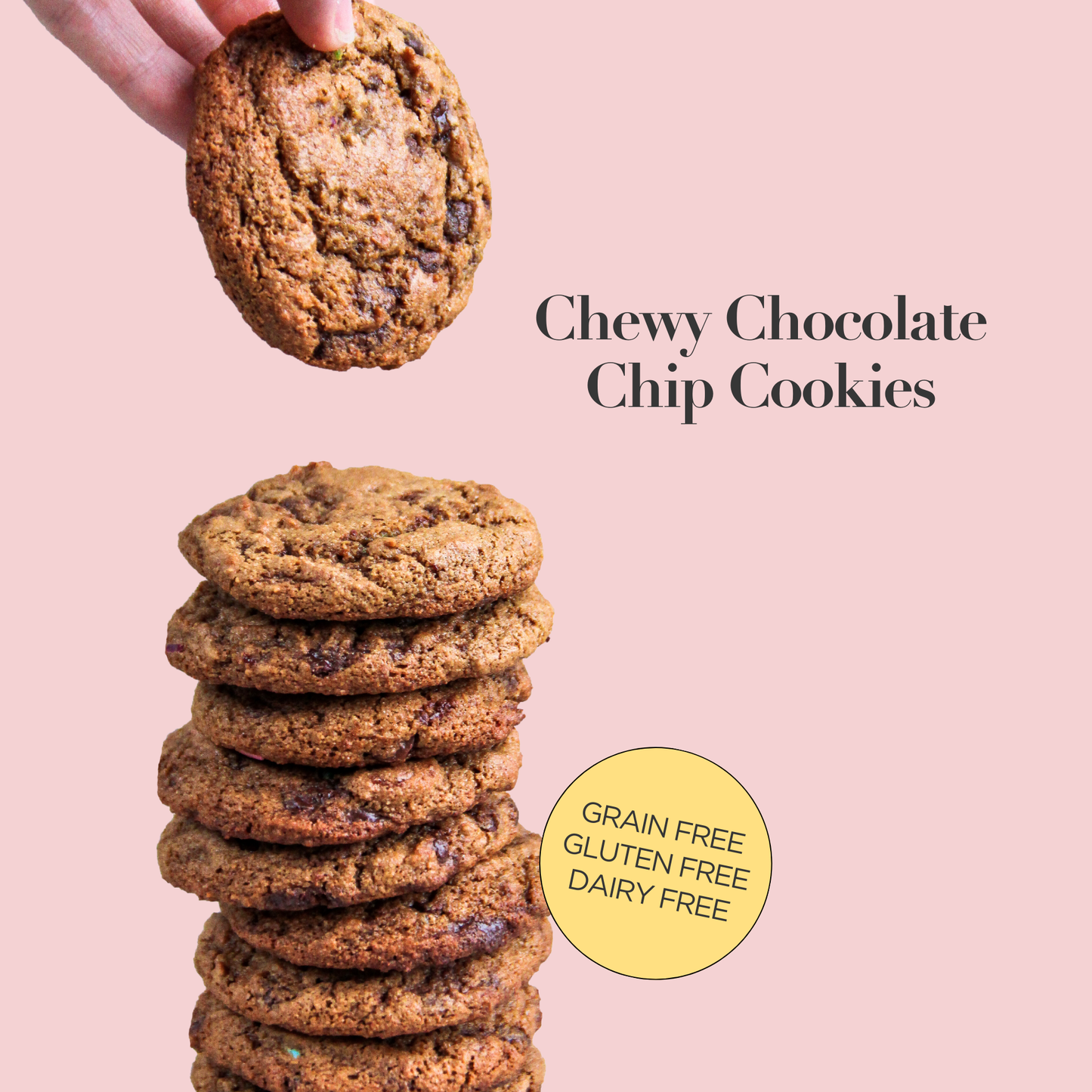 Stellar Eats Chocolate Chip Cookie Mix