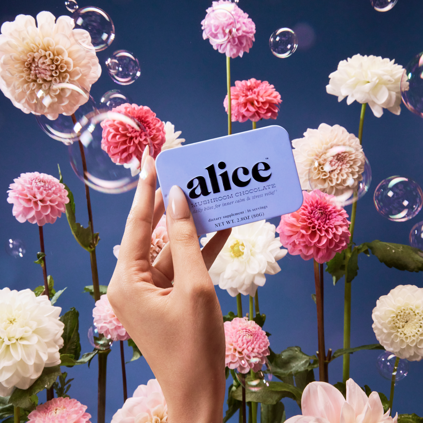 Alice Mushrooms Zen-X Mushroom Chocolate for Stress Relief