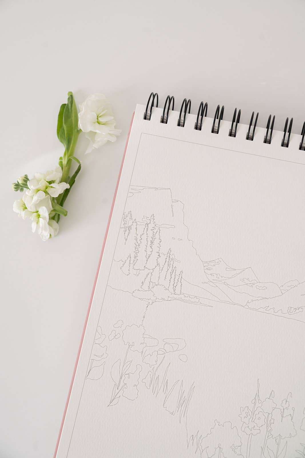 Bailey Rae Studio National Parks Watercoloring Book