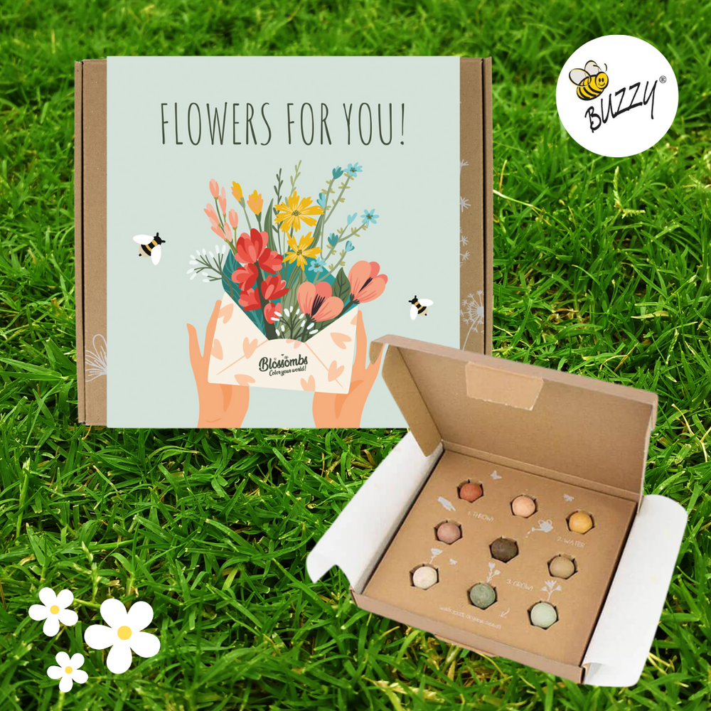 Blossombs Medium Box, Flowers For You, 9 Blossombs