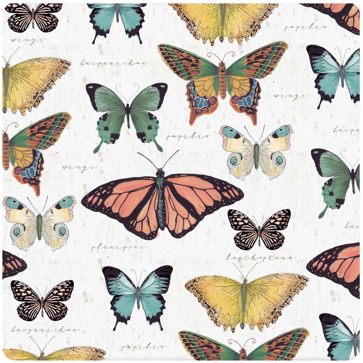 Butterfly Jar Opener