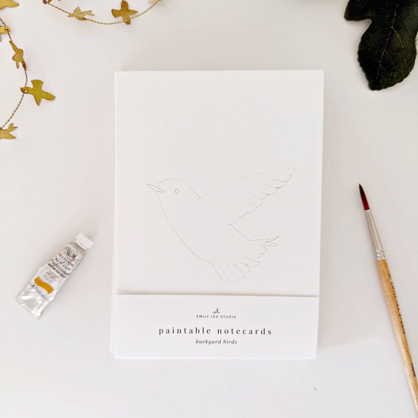 emily lex studio Backyard Birds Paintable Watercolor Notecard Set