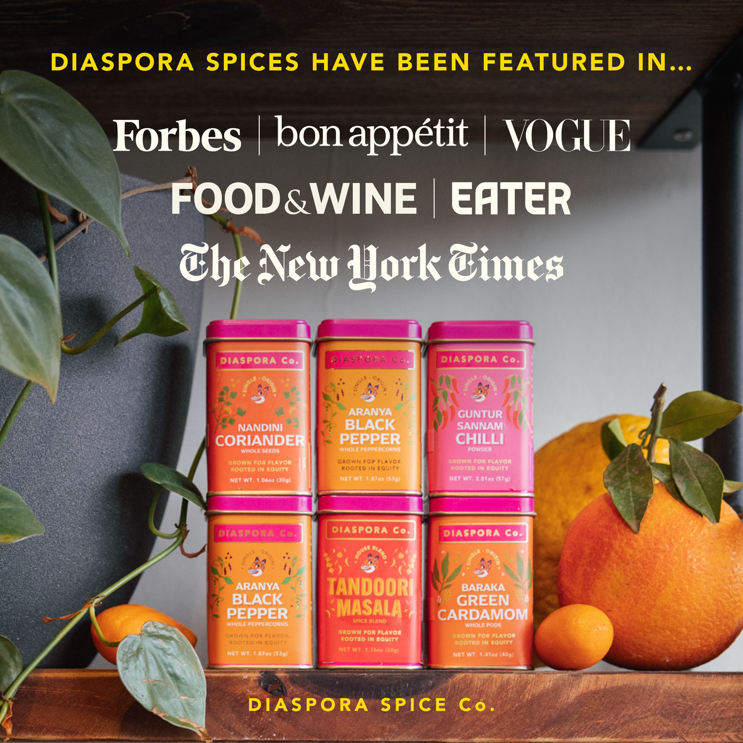 Diaspora Spice Co. - Pragati Turmeric (Powder) - Single-Origin Spice