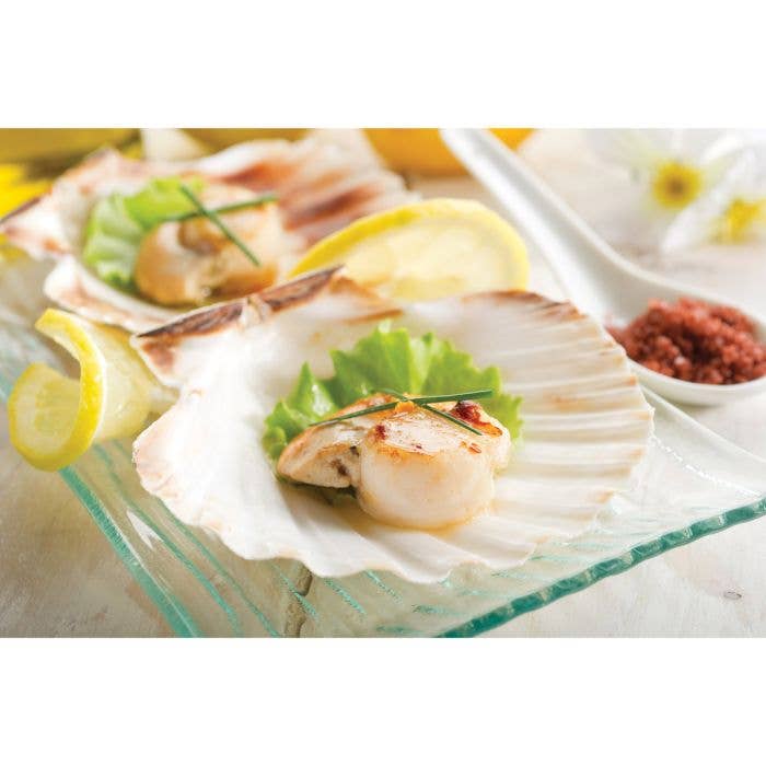 Maine Man Natural Baking Shells, Set of 4
