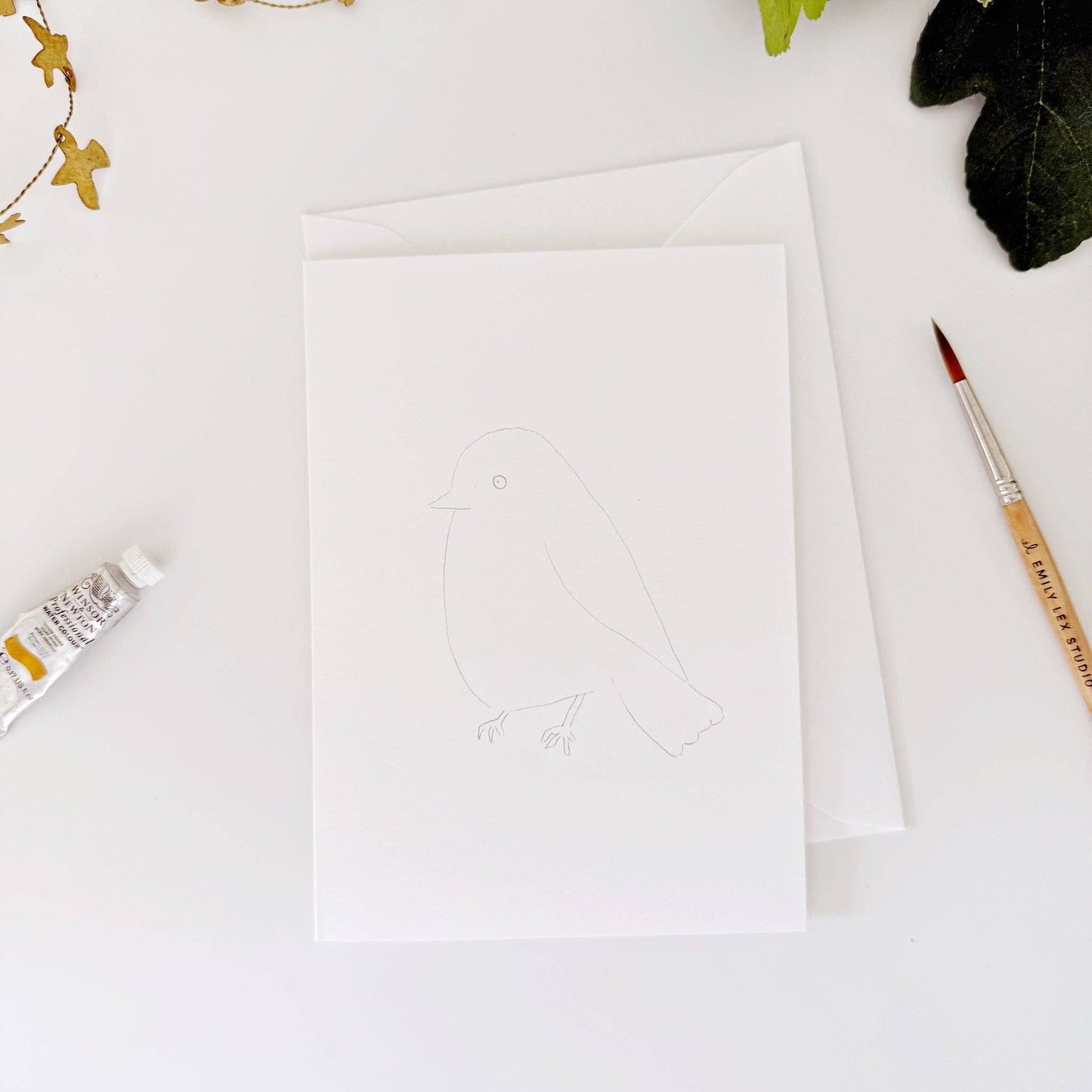 emily lex studio Backyard Birds Paintable Watercolor Notecard Set