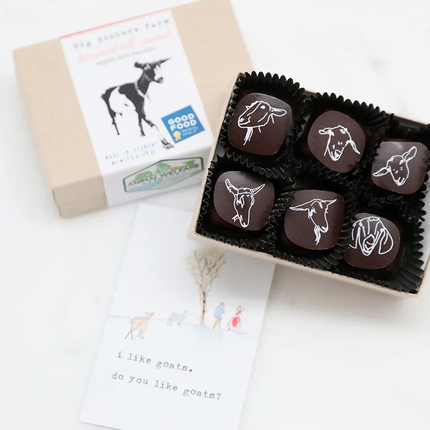 Big Picture Farms Organic Dark Chocolate Goat Milk Caramels
