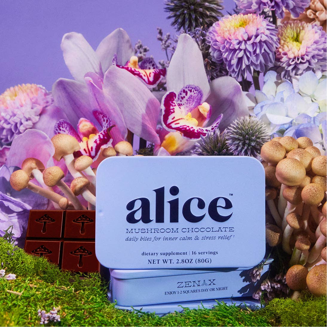 Alice Mushrooms Zen-X Mushroom Chocolate for Stress Relief