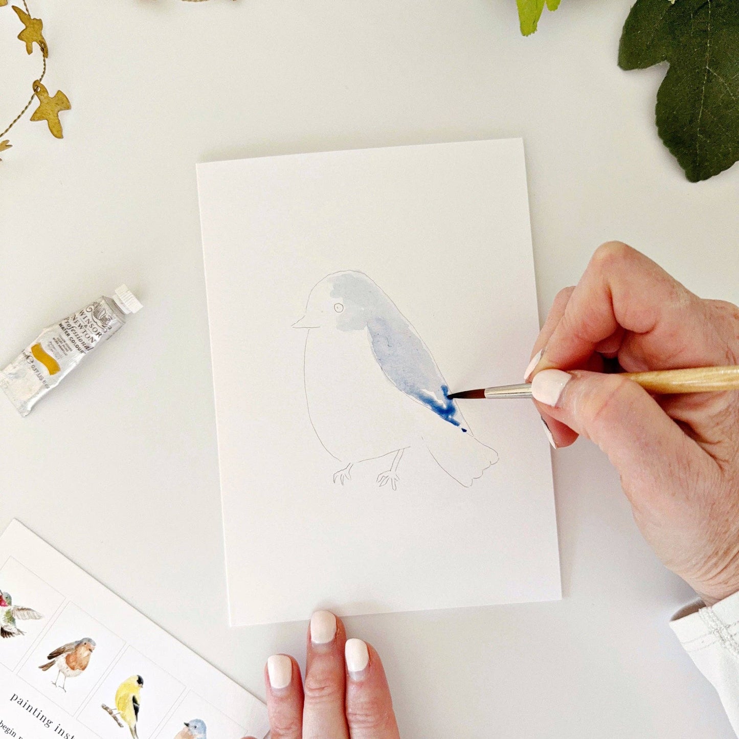 emily lex studio Backyard Birds Paintable Watercolor Notecard Set