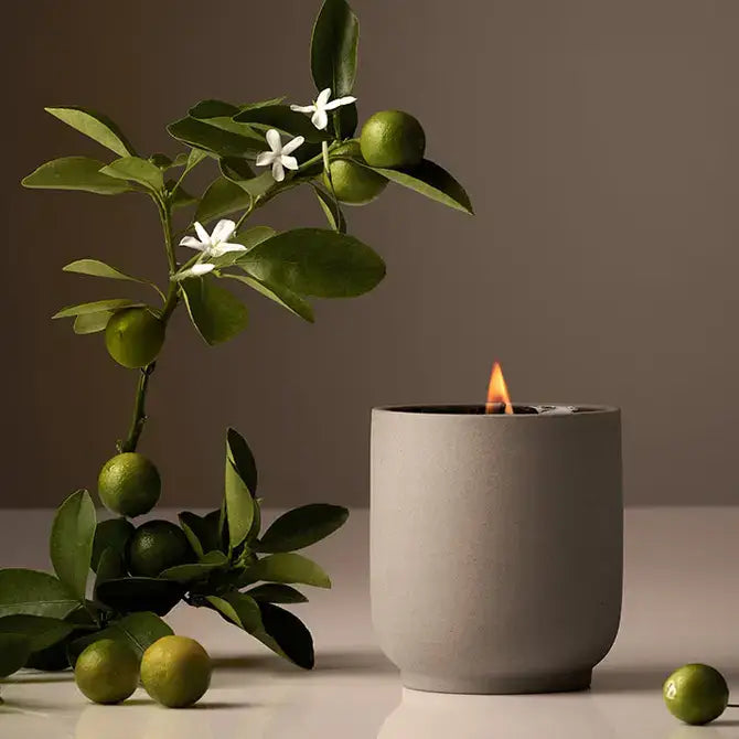 Homecourt Signature Candle