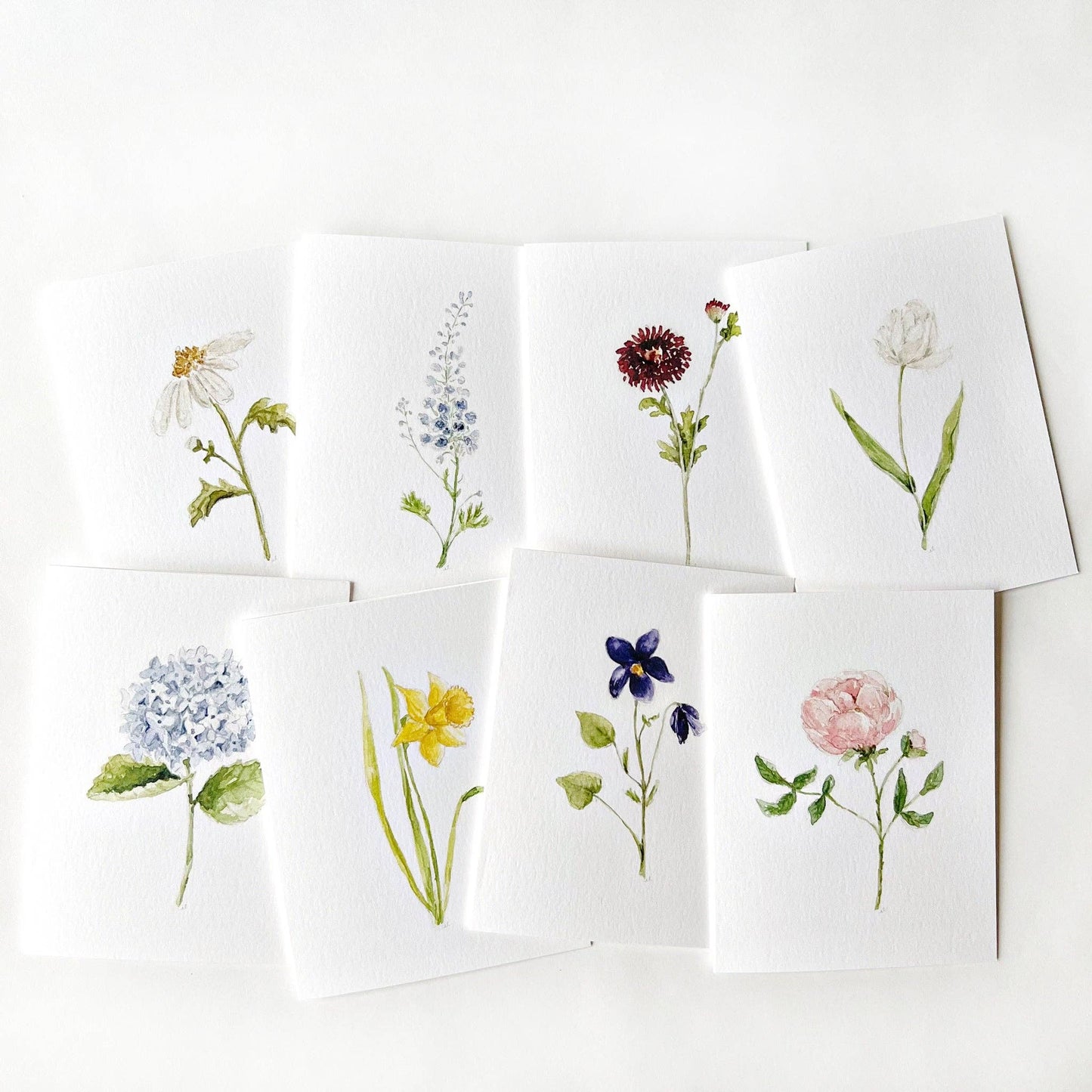 emily lex studio Assorted Garden Flowers Notecard Set