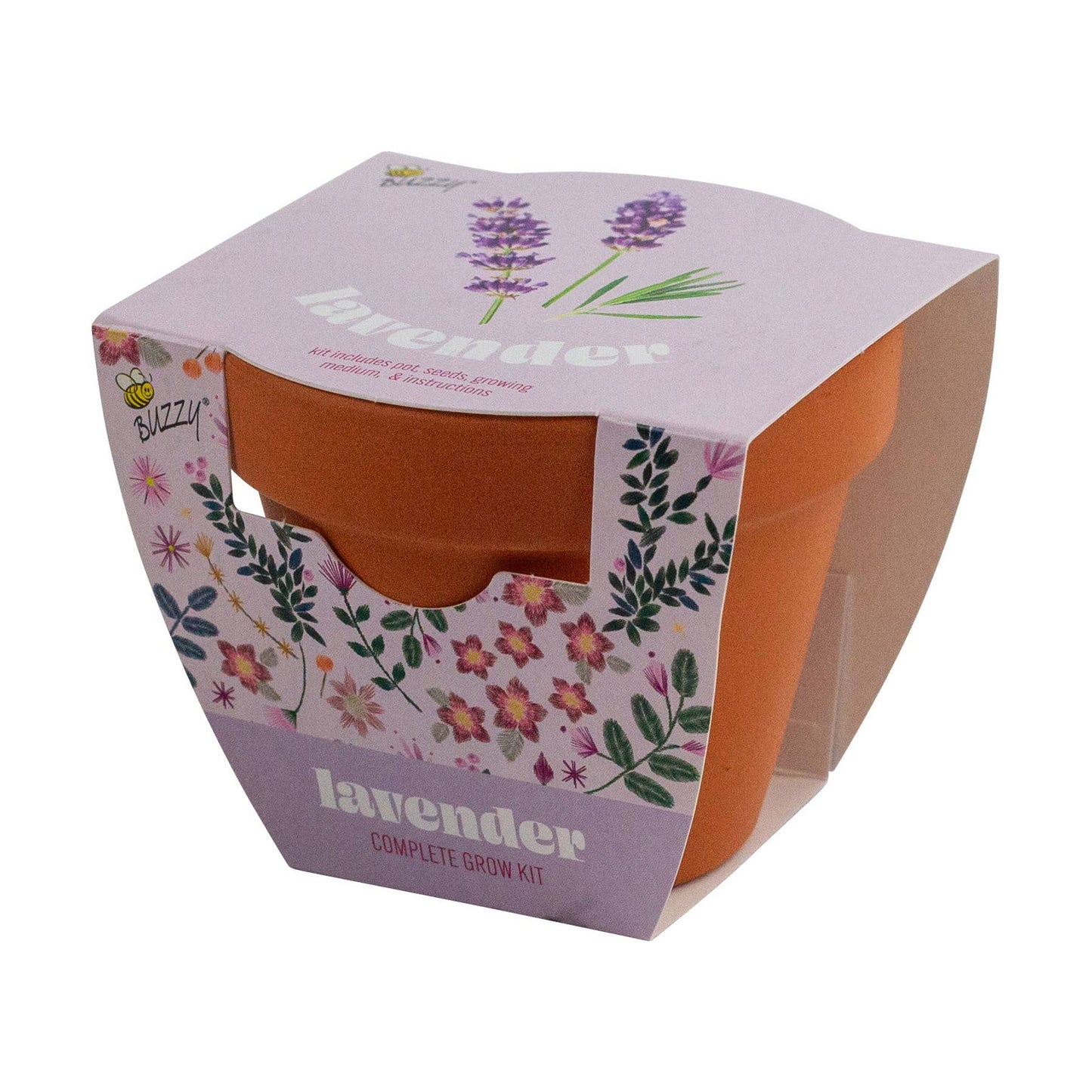 Buzzy Seeds Classic Terra Cotta Grow Kit, Lavender