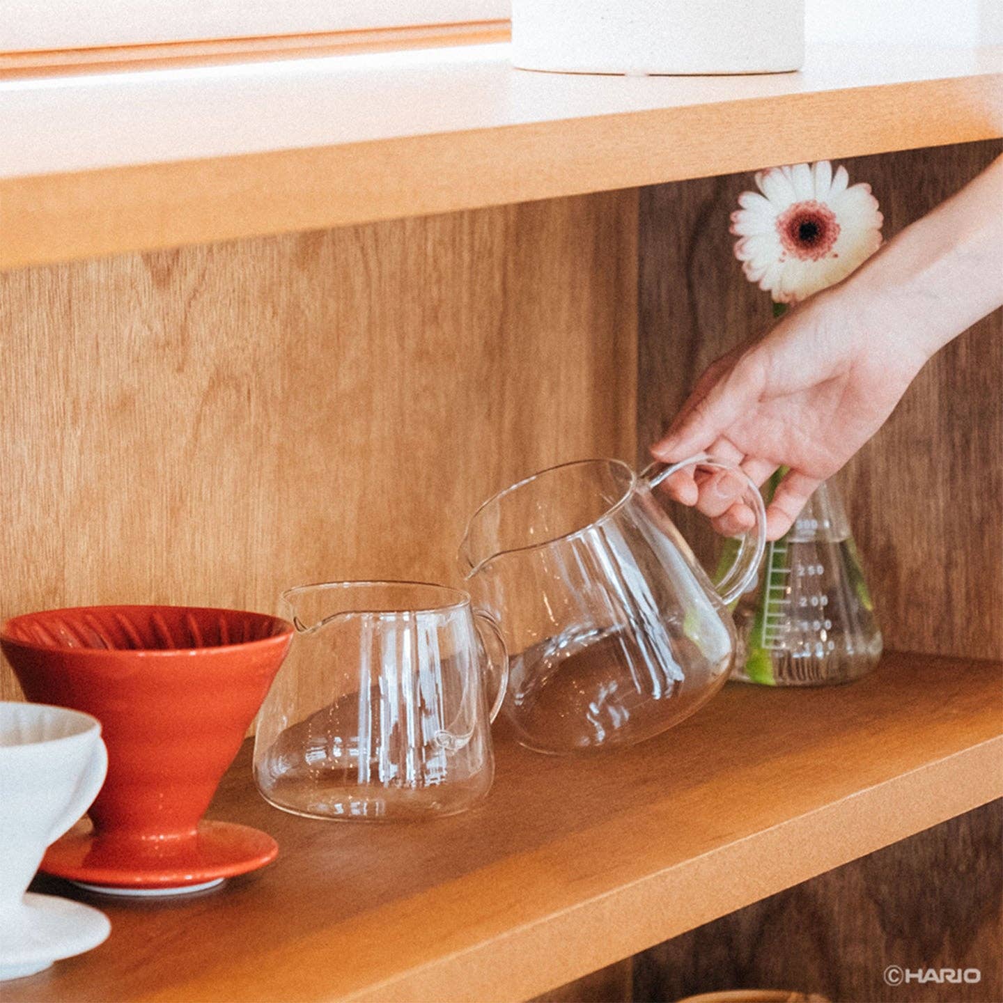 Hario V60 Barista Server