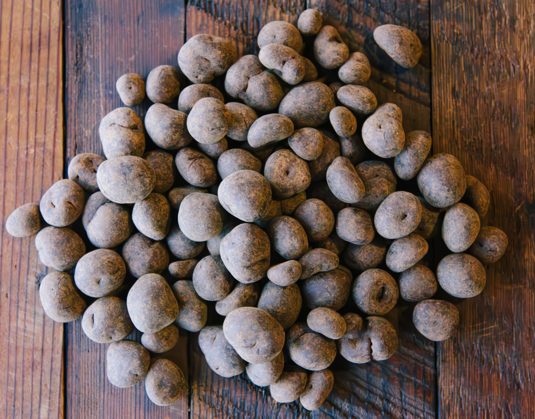 Dick Taylor Craft Chocolate Coated Butter Toffee Hazelnuts