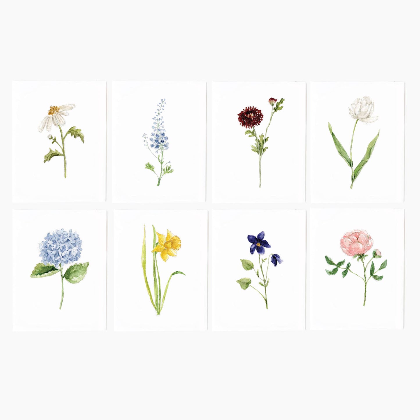 emily lex studio Assorted Garden Flowers Notecard Set
