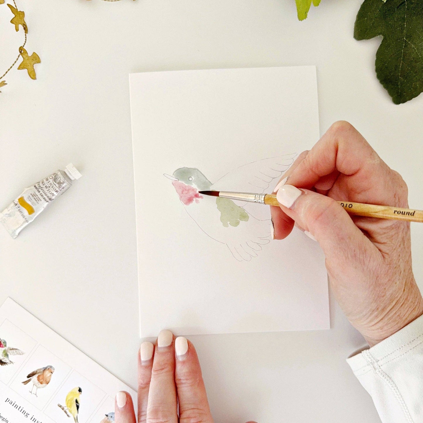 emily lex studio Backyard Birds Paintable Watercolor Notecard Set