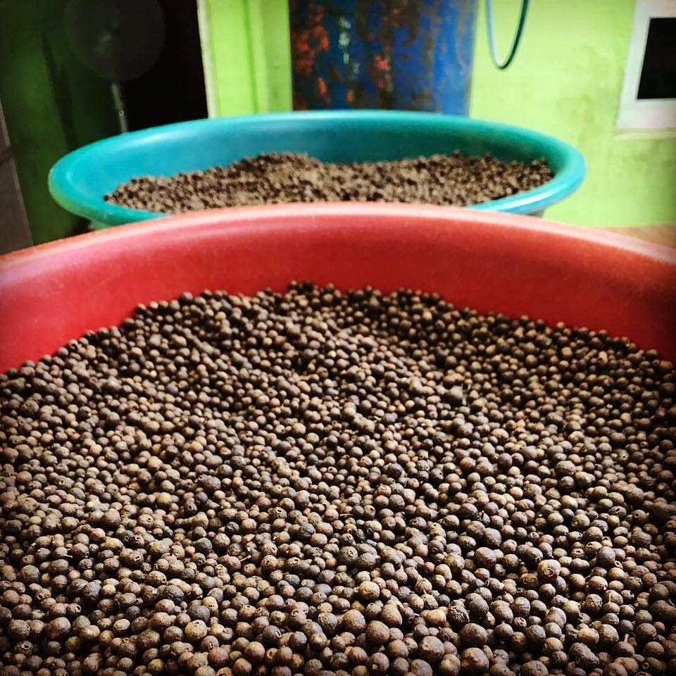 Burlap & Barrel Sweet Allspice