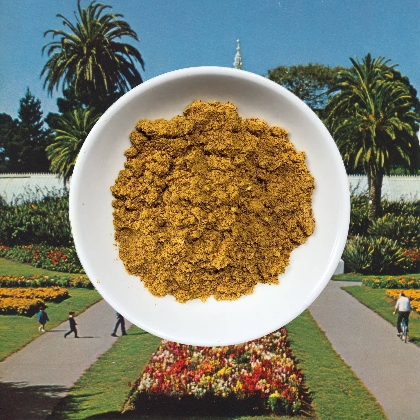 Flowerhead Tea - Cali Gold Powder Loose Tea