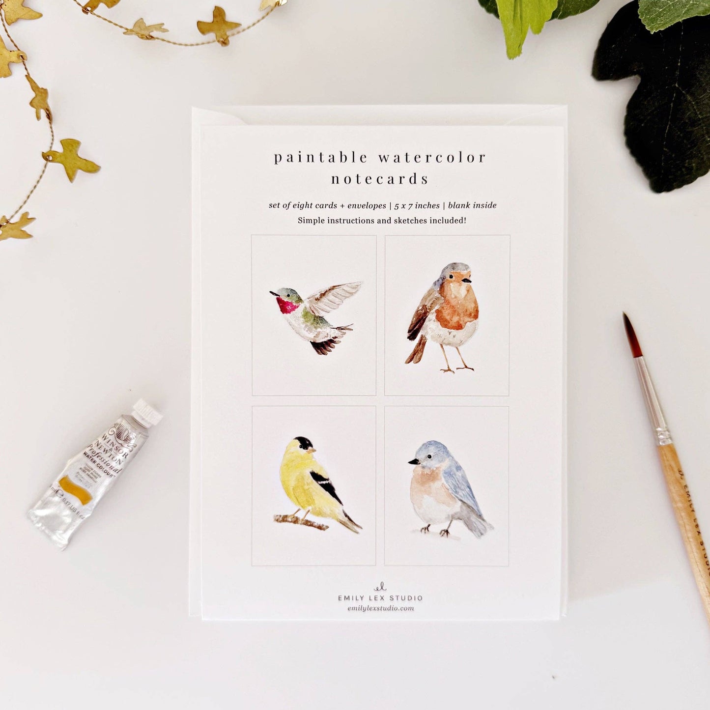 emily lex studio Backyard Birds Paintable Watercolor Notecard Set